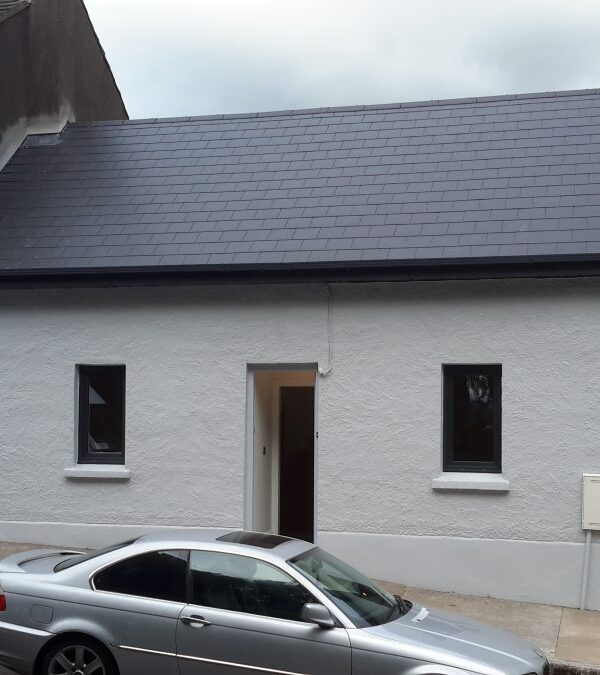 Home Renovation in Dublin Hill